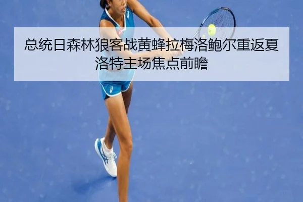 总统日森林狼客战黄蜂拉梅洛鲍尔重返夏洛特主场焦点前瞻 - AOASPORTS